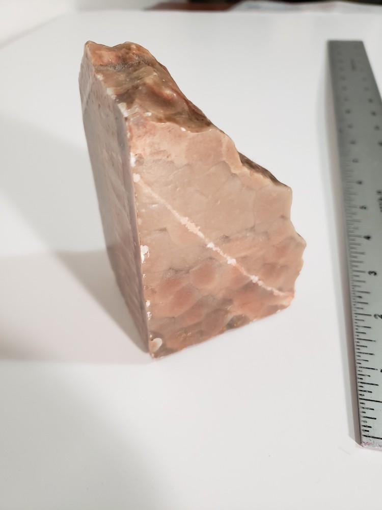 Agatized Petrified Wood 5"
