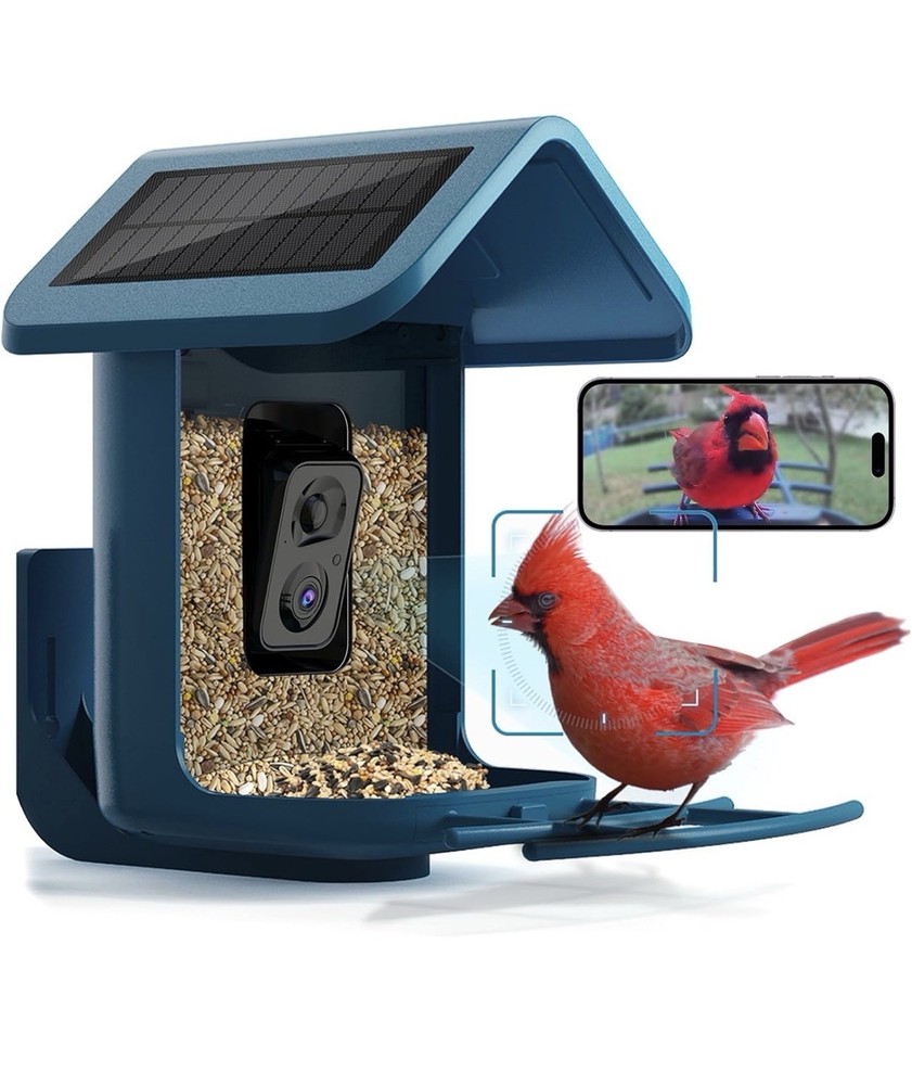 Bird Feeder with Camera Solar Powered : Smart Camera Bird Feeder 2K Live Stea...