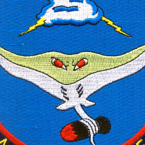 N-VA-95C Attack Squadron Patch
