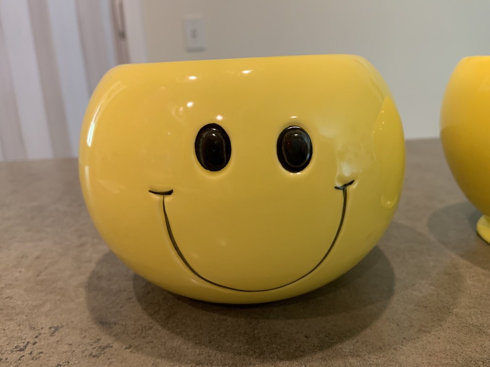 Telaflora Smiley Face Mug And Planter Set Rare!