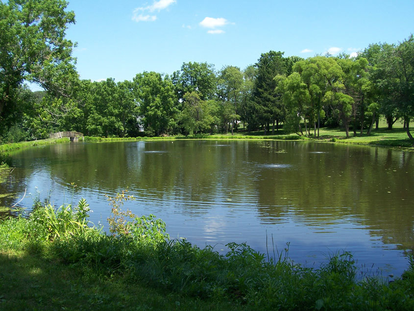 Industrial 220v 100' Lake Fishpond Aerator w/ 2-9" EDPM Diffusers 1/2hp 3 CFM!