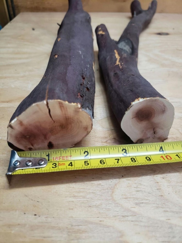 2 Manzanita branches 17"-20" #134