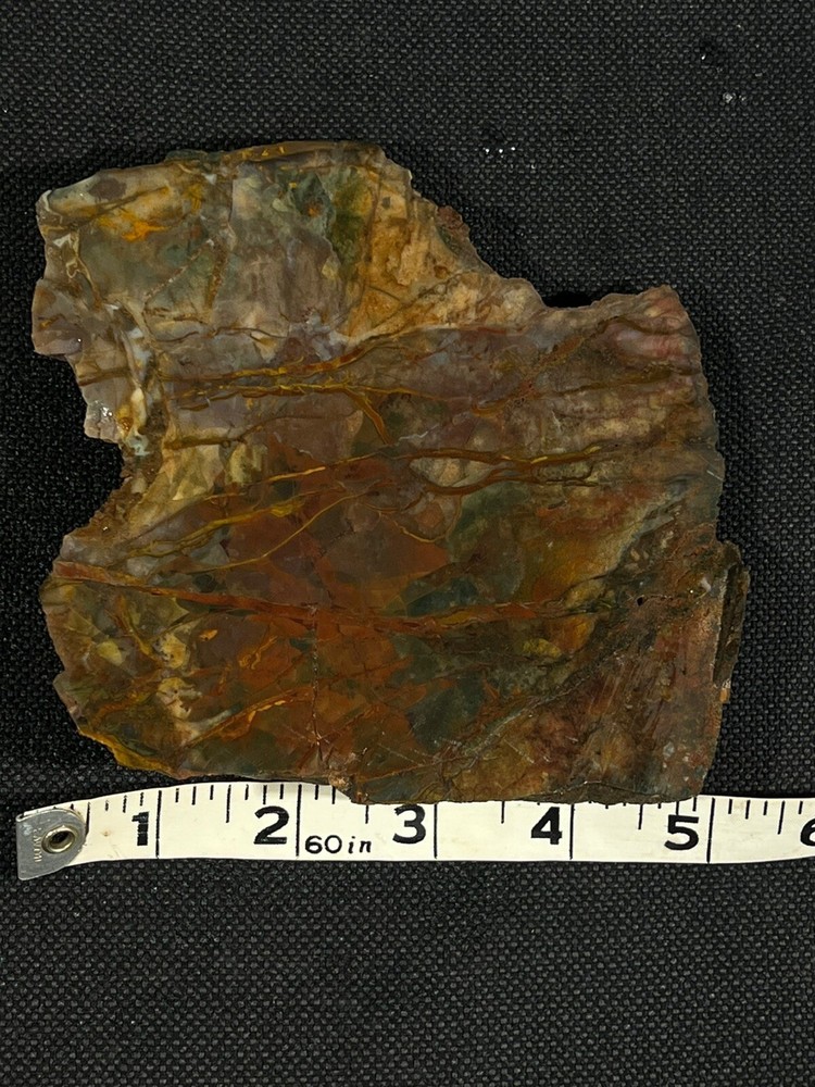 Morrisonite Jasper 485 g Oregon, amazing patterns/red striations/veining
