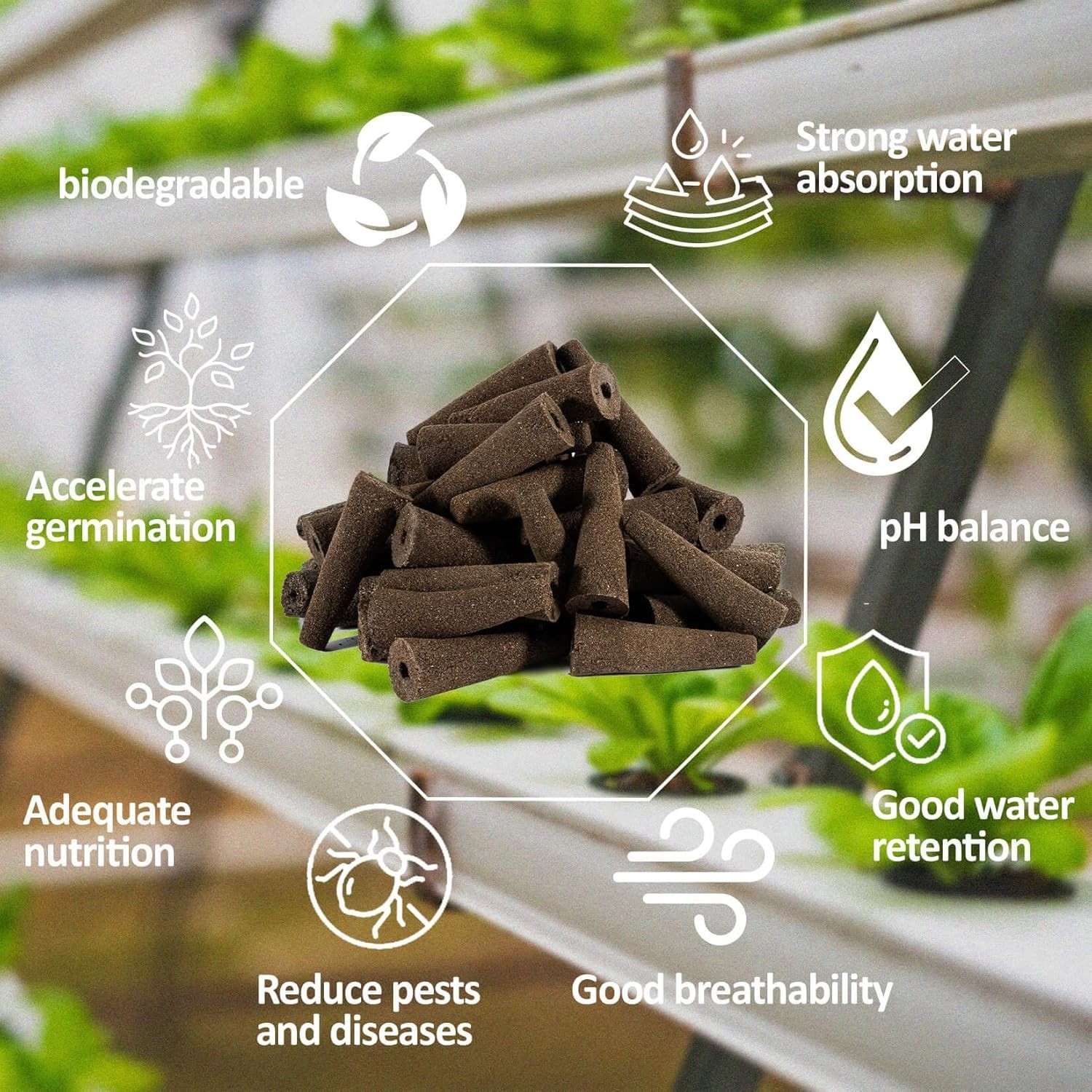 50 pc Hydroponic Grow Sponges Seed Starter Plugs for Herbs, Vegetables & Flowers