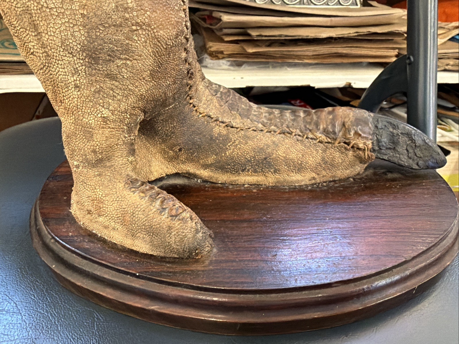 Vintage Ostrich Foot Stand w/ Wooden Dish Australian Curio Decor