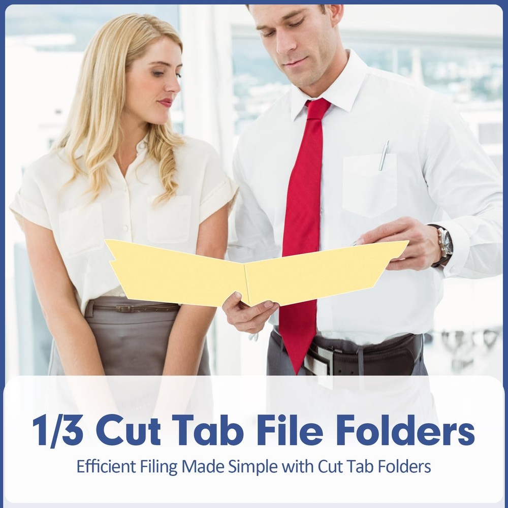File Folder, 220 Pack File Folder, 1/3 Cut Tab, Letter Size, Filing Folder fo...