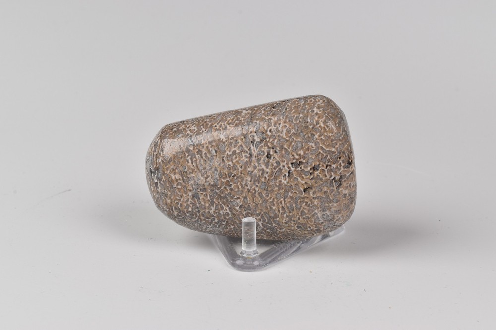 Polished Dinosaur Bone from Morocco 5.0 cm # 21584