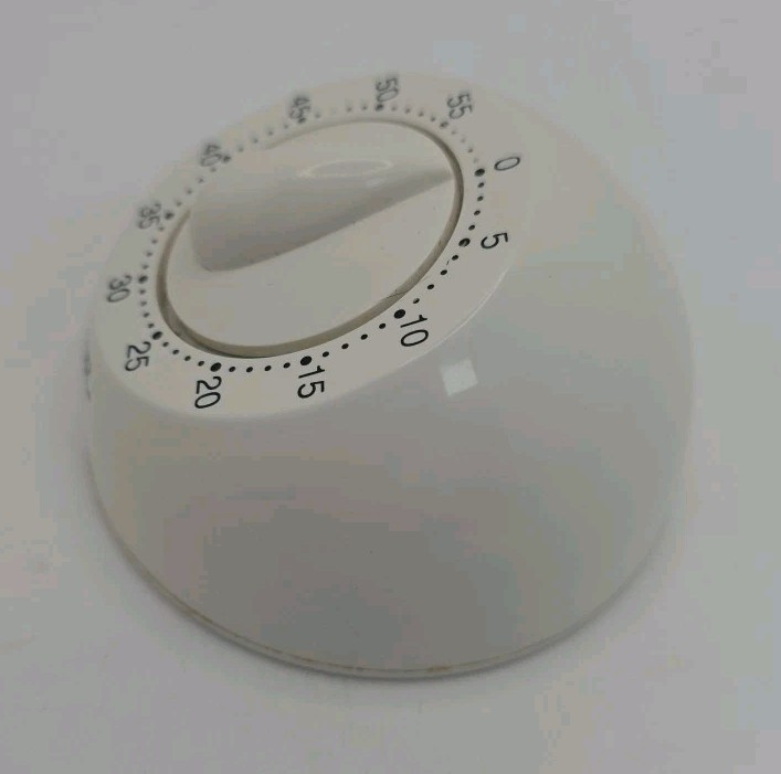 Taylor Plastic Timer WORKING