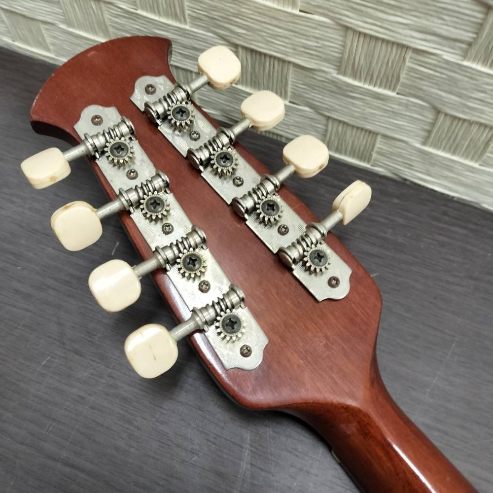 ◇Mandolin SUZUKI M-215 with hard case