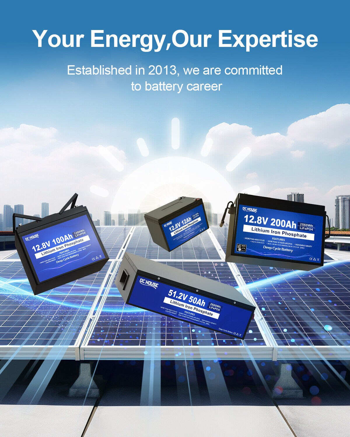 20-Amp 20A Smart Charger for Lithium Iron Phosphate (LiFePO4) Battery 12V 14.6V