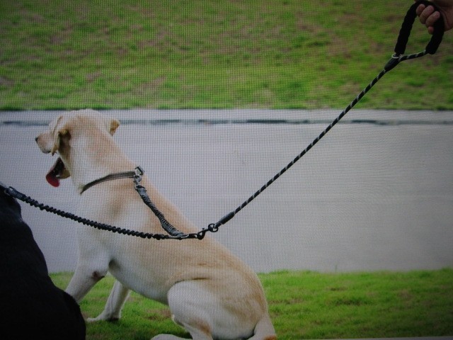 Dual DOUBLE Dog Leash for Two Dogs 360 Swivel No Tangle Walking Leash 25-150 lbs