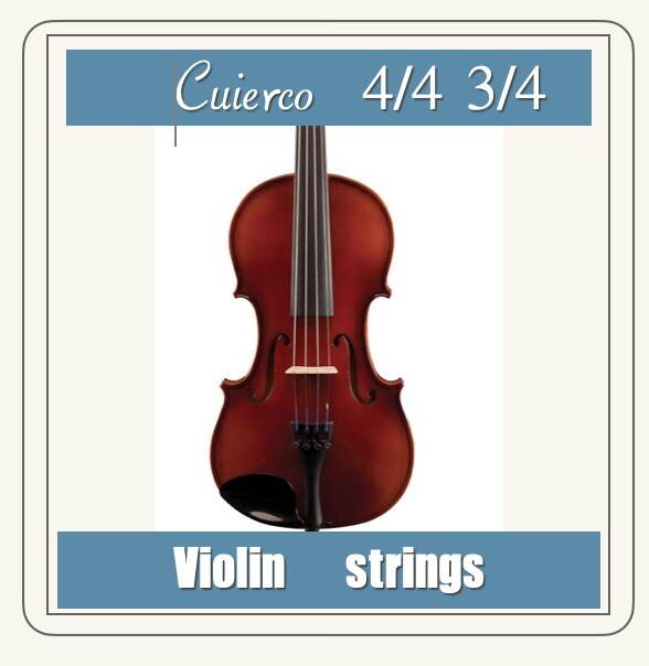 Fiddle Violin Two E-strings silver Wound 4/4,3/4 Medium US Today Shipping