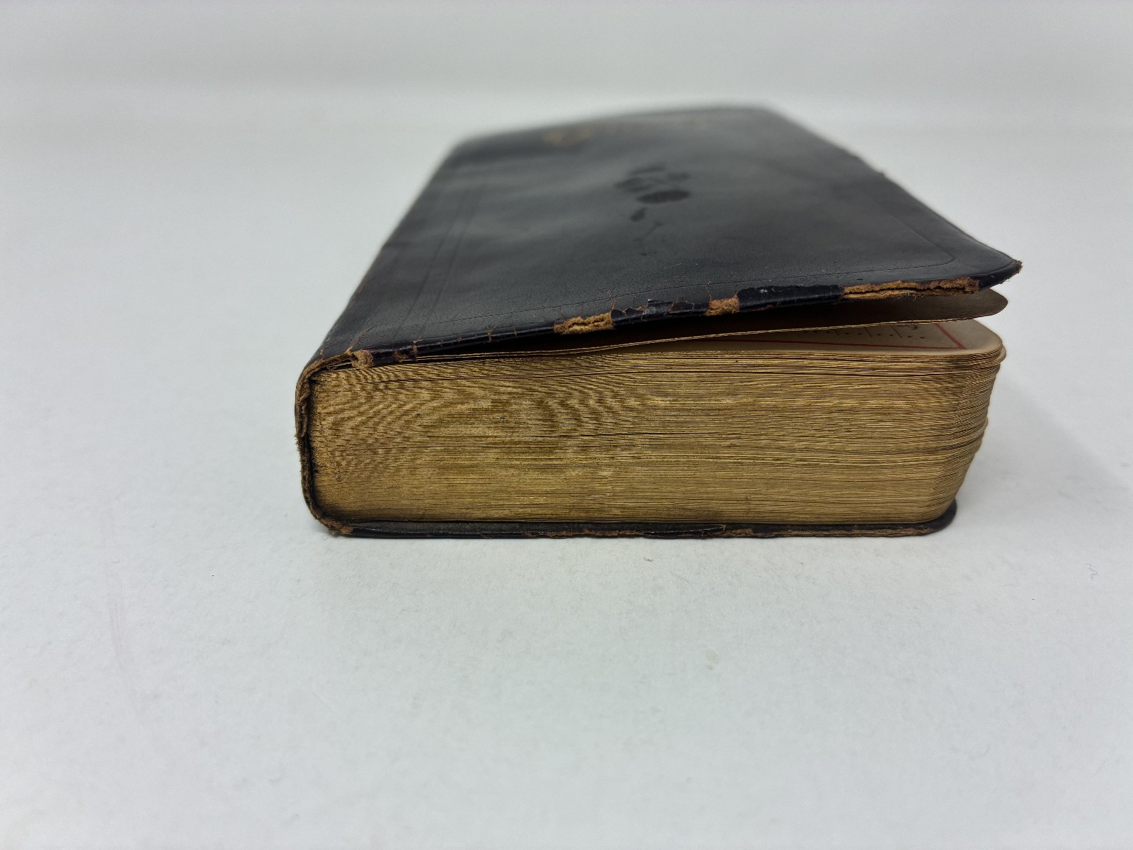 1900 Victorian Woman Wife & Mother Handwritten Diary with Her Life Memorial!