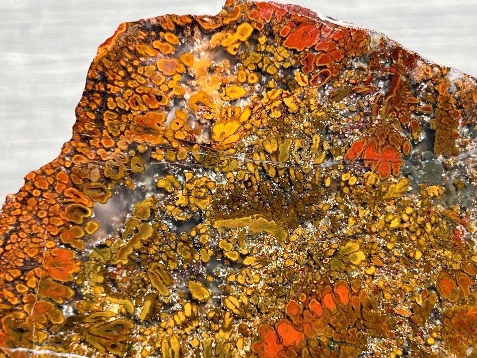 East Java Plume Agate - Indonesia 3.75"x3" High Grade Lapidary Rough Slab