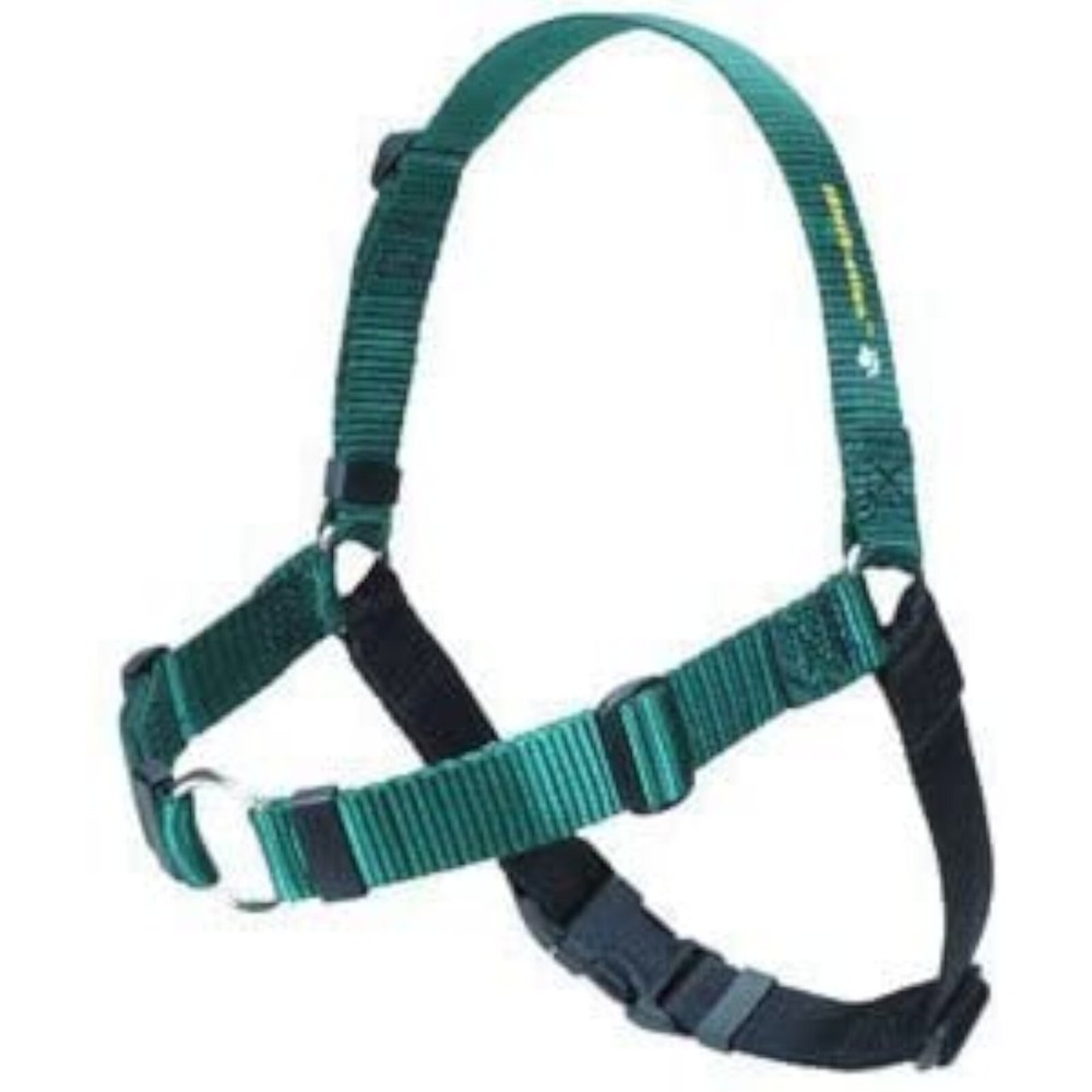 SENSE-ation Harness - Large - 1in - Green