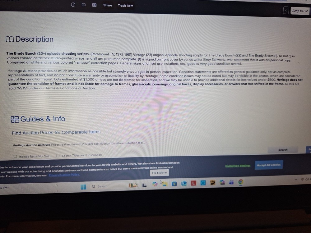 Television Script