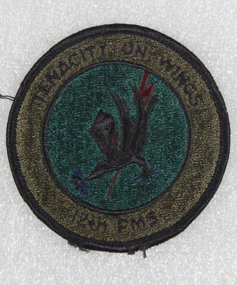 USAF Air Force Patch: 12th Field Maintenance Squadron - subdued