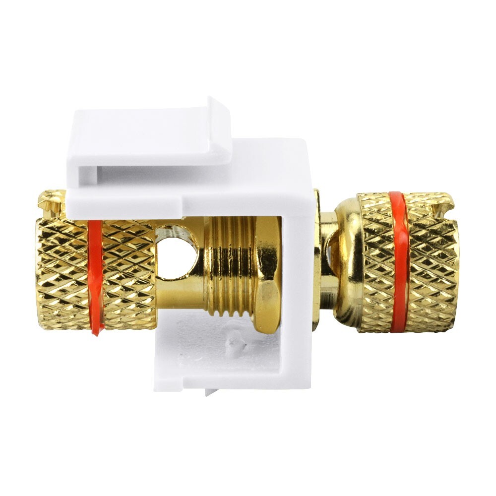 Construct Pro™ Gold-Plated Speaker Binding Post Insert (White, Red Band)