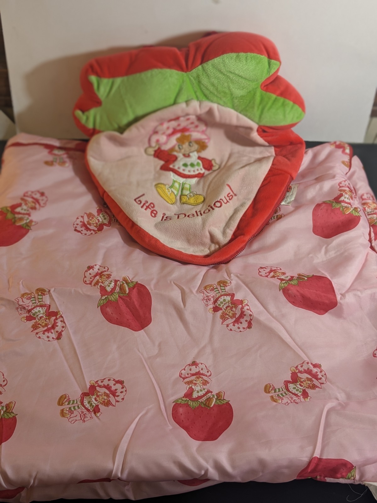 VTG Retro Strawberry Shortcake Kids Sleeping Bag/Backpack Life Is Delicious
