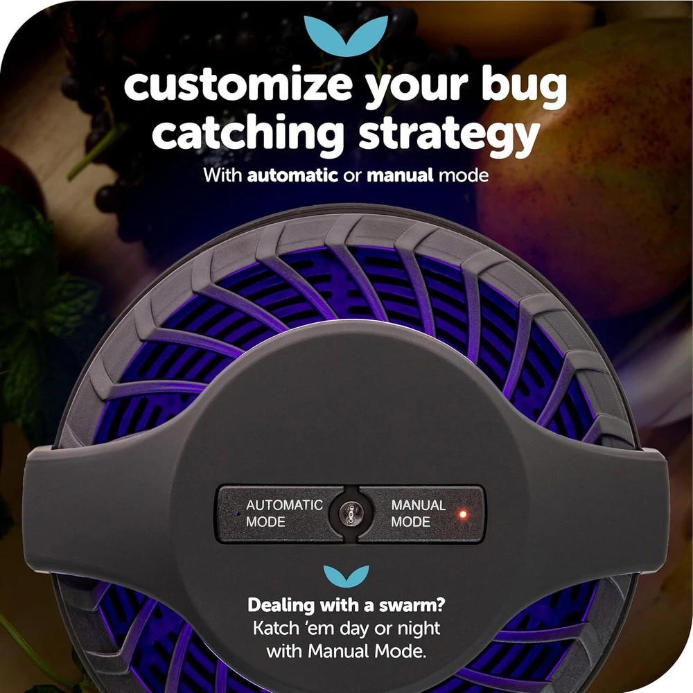 Katchy Automatic Indoor Insect Trap - Black