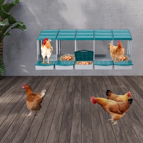 Chicken Laying Box Modern 5-Compartment Chicken Nesting Box with Egg Collection
