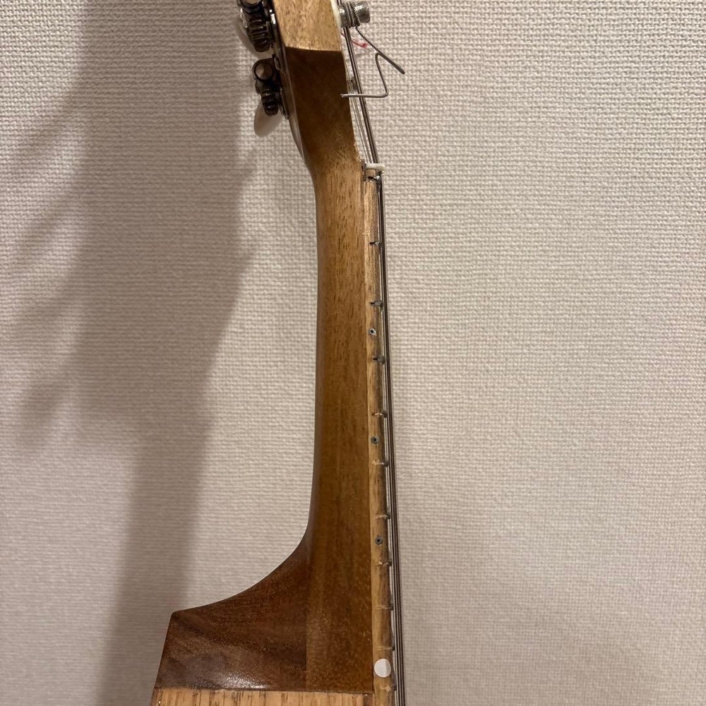 Basiko (flat mandolin) case