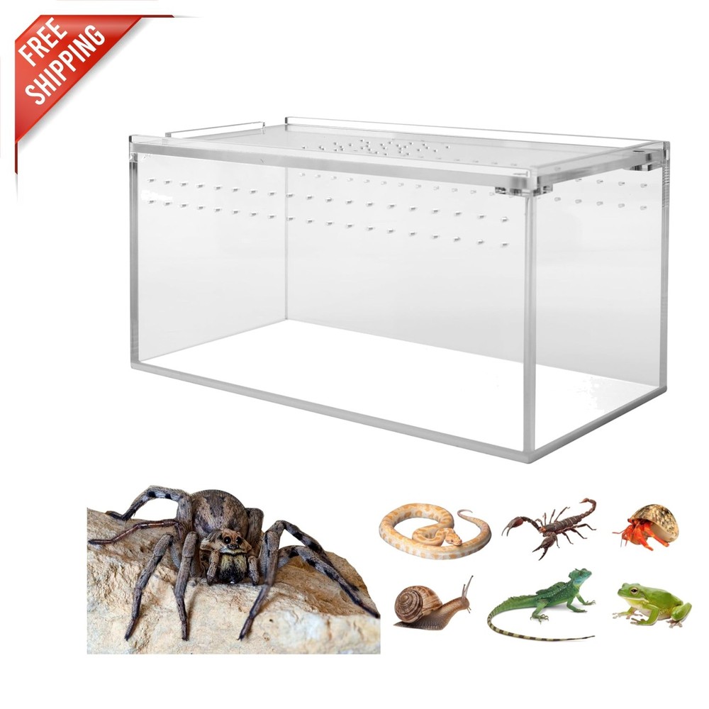 High Transparency Acrylic Spider Cage with Magnetic Features - Easy Maintenance