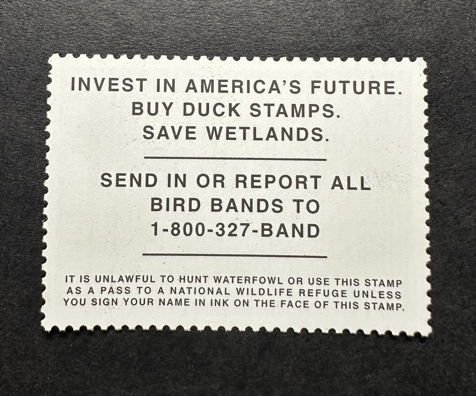 WTDstamps - #RW74 2007 - US Federal Duck Stamp - Mint OG NH