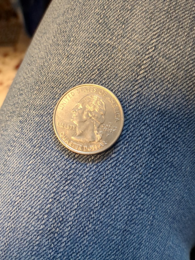 2006 P Nebraska State Quarter