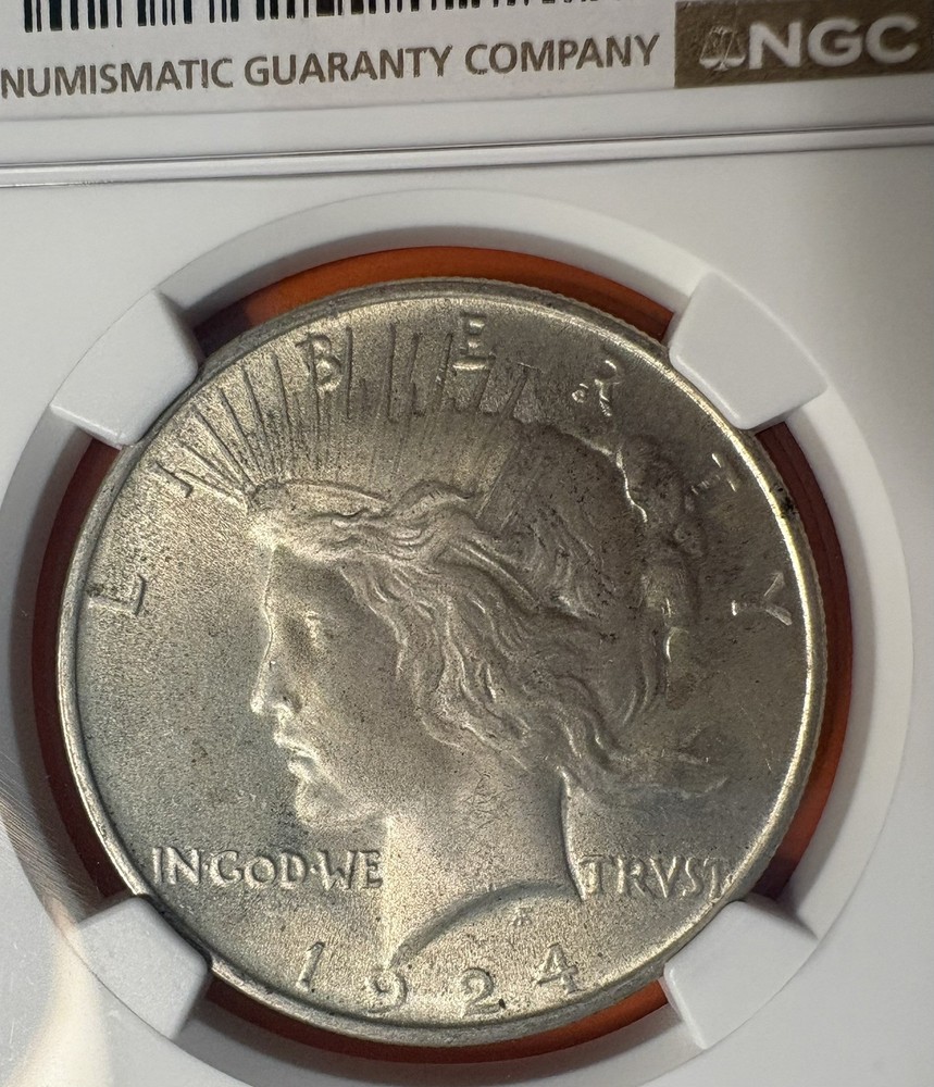 1924 Peace Silver Dollar NGC MS 65, Toned