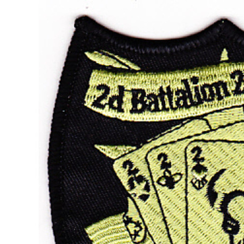 2nd Battalion 2nd Aviation Attack Regiment C Company Patch - Subdued