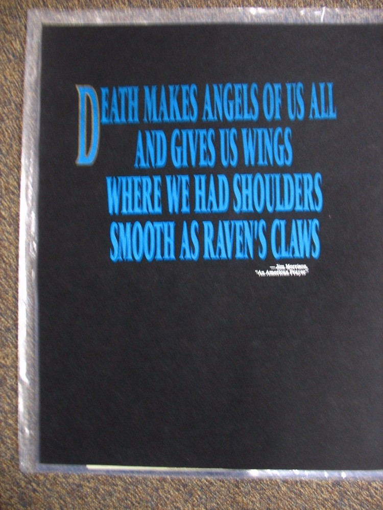 THE DOORS CONCERT TOUR T SHIRT TEST PRINT PELLON PROOF ROCK EXPRESS