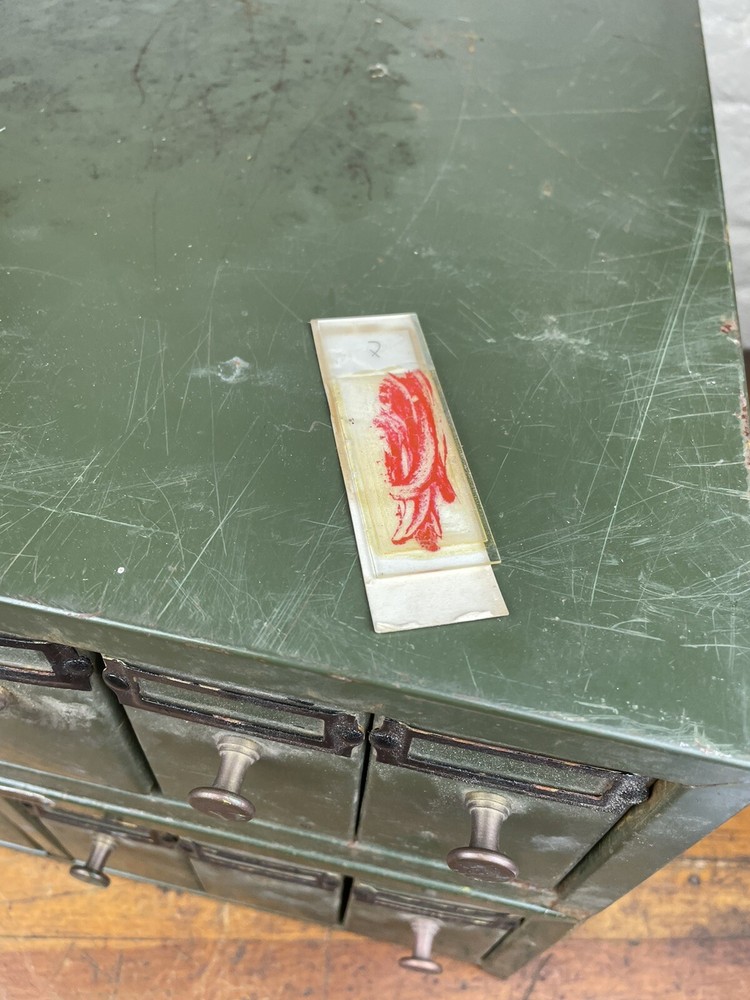 C.1940 Microscope Slide Cabinets ~ Paragon C&C Co. NY, Stackable, 12 Drawers