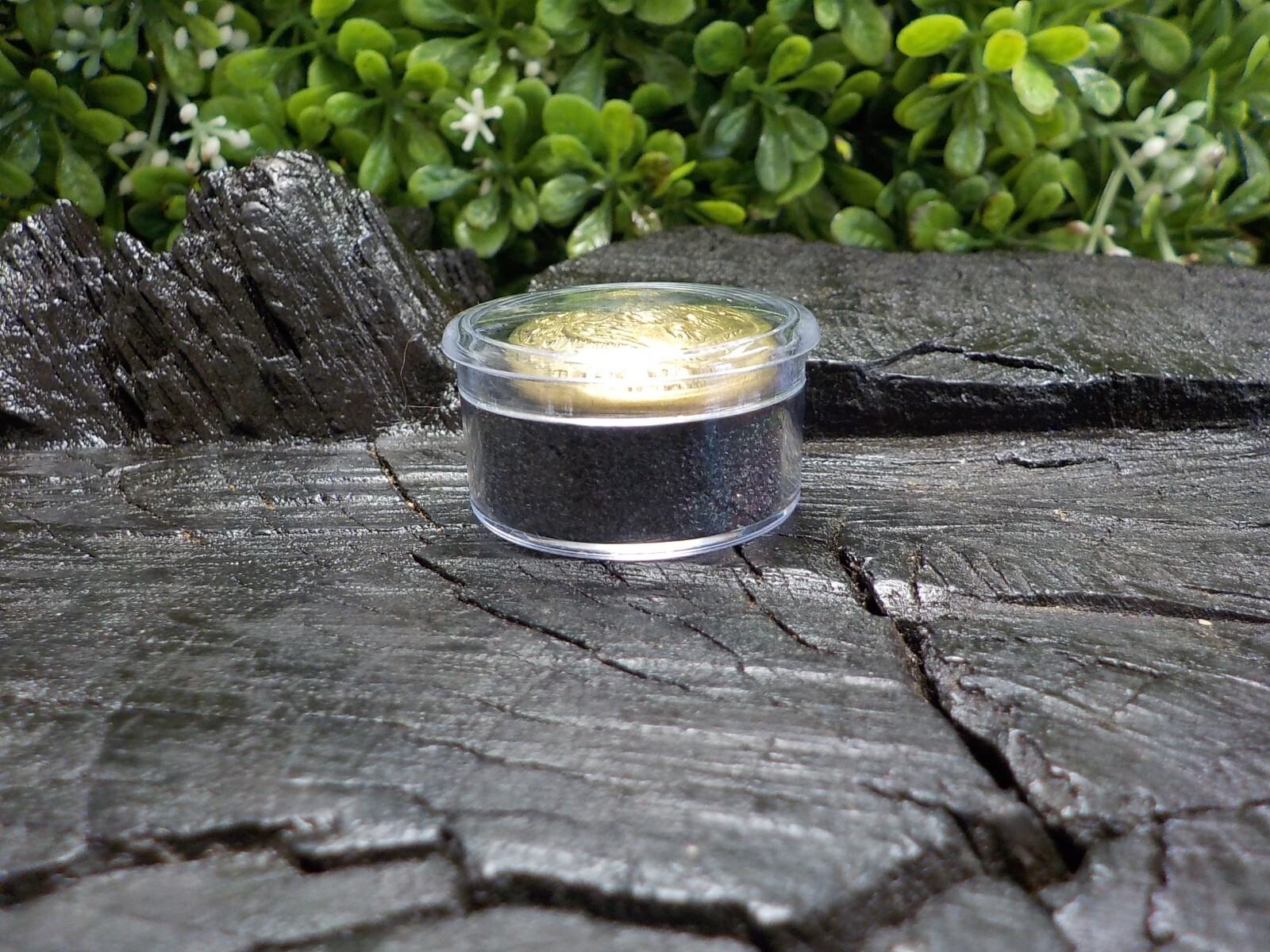 24k Gold Plated Confederate Staff Officers Coat Button with Free Button Case