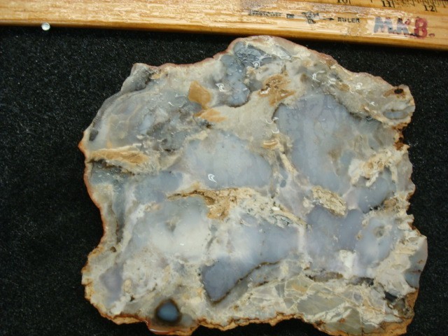 burro creek agate slab