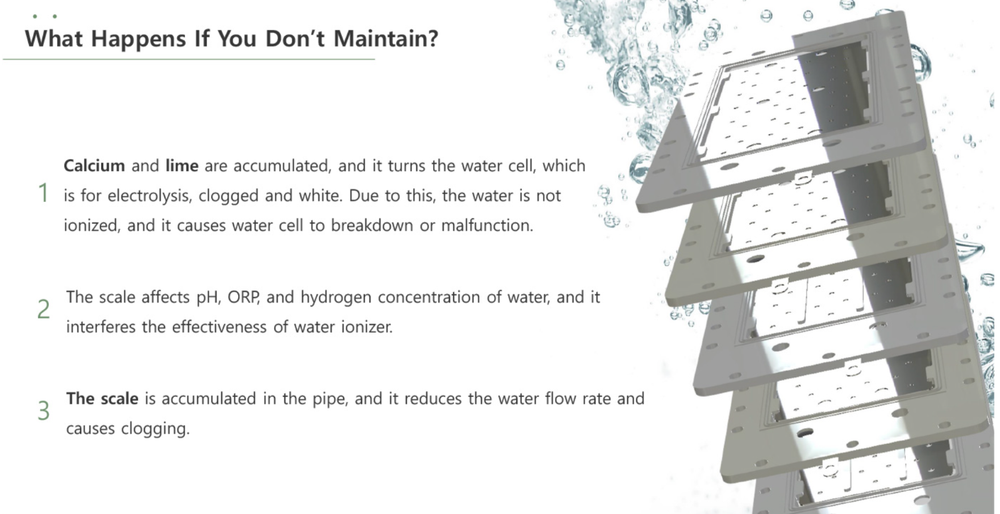 Tyent Scale Cleaner and Remover