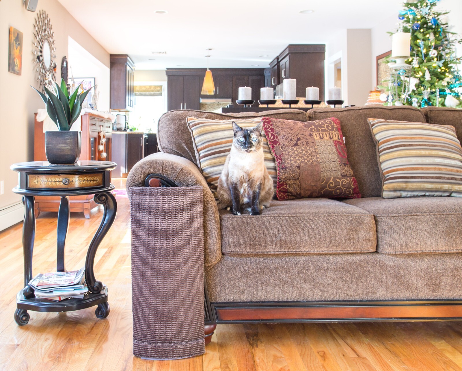 Sofa-Scratcher Cat Scratching Post & Couch Corner Protector