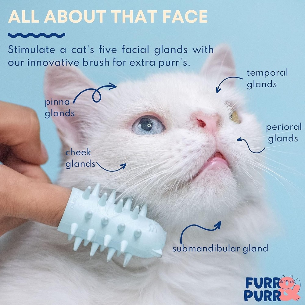 2 Pack Cat Brush Grooming Set Face Scratcher
