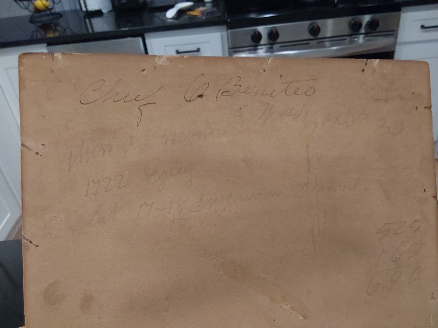 Native American Utes Chief Buckskin Charlie Photochrom Detroit Photographic Co.