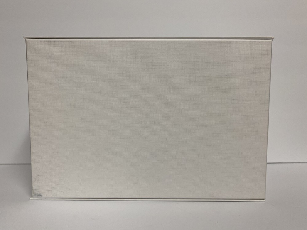 Amina Muaddi Empty Shoe Gift Storage Box