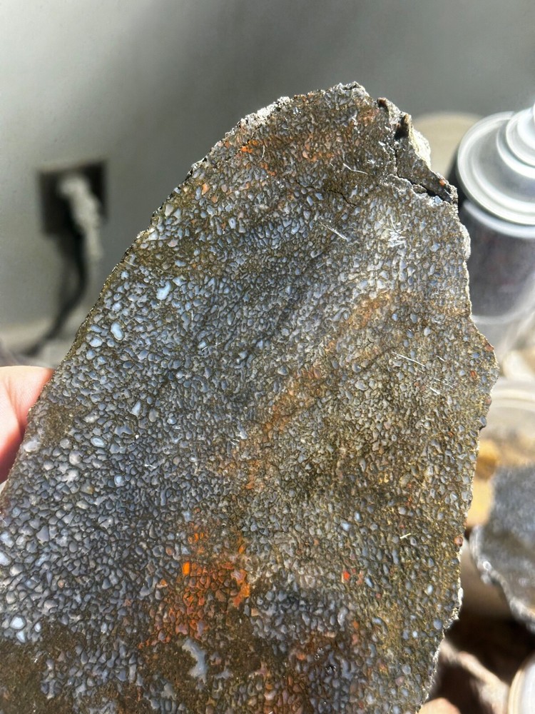 Dinosaur bone rough **hxtled large slab.