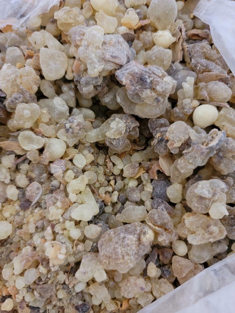 لبان الذكر الملكي الحر الروحاني الخارق الاستخدام لبان الذكر العامودي او اللبان