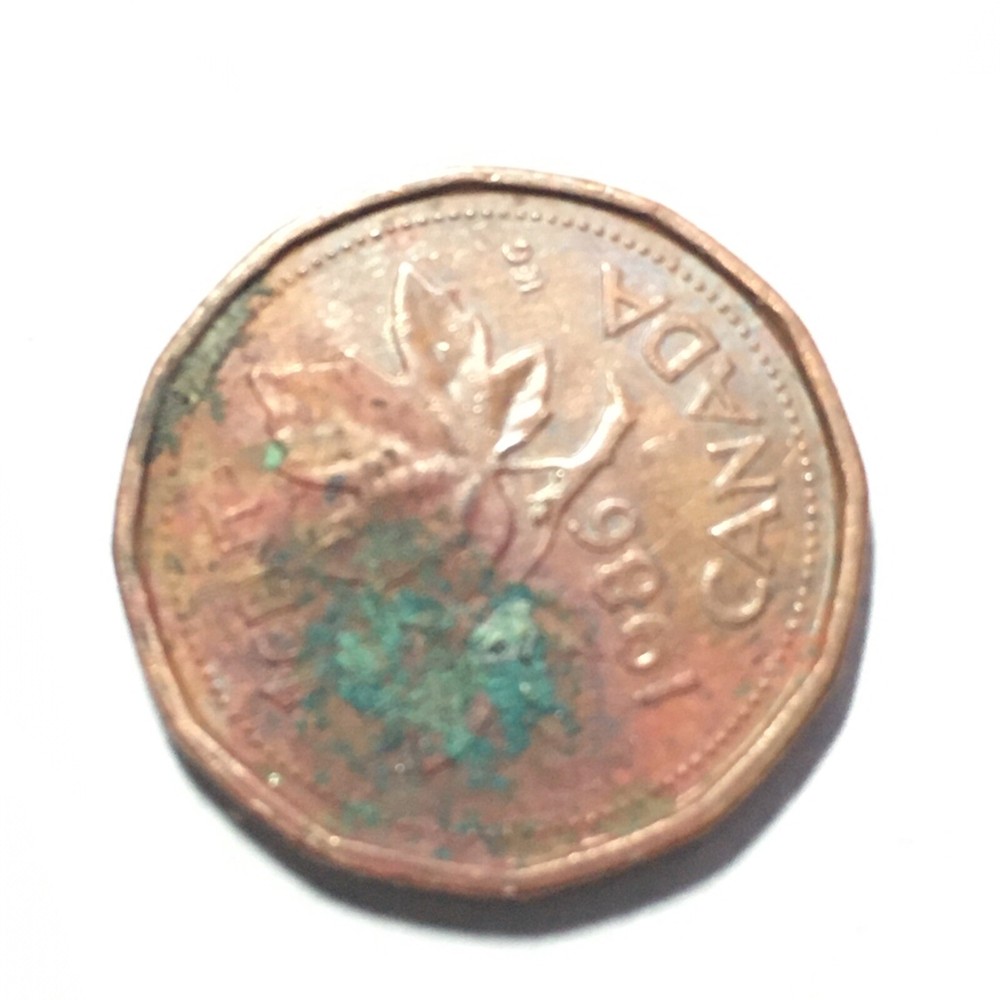 1986 Canada One Cent Coin