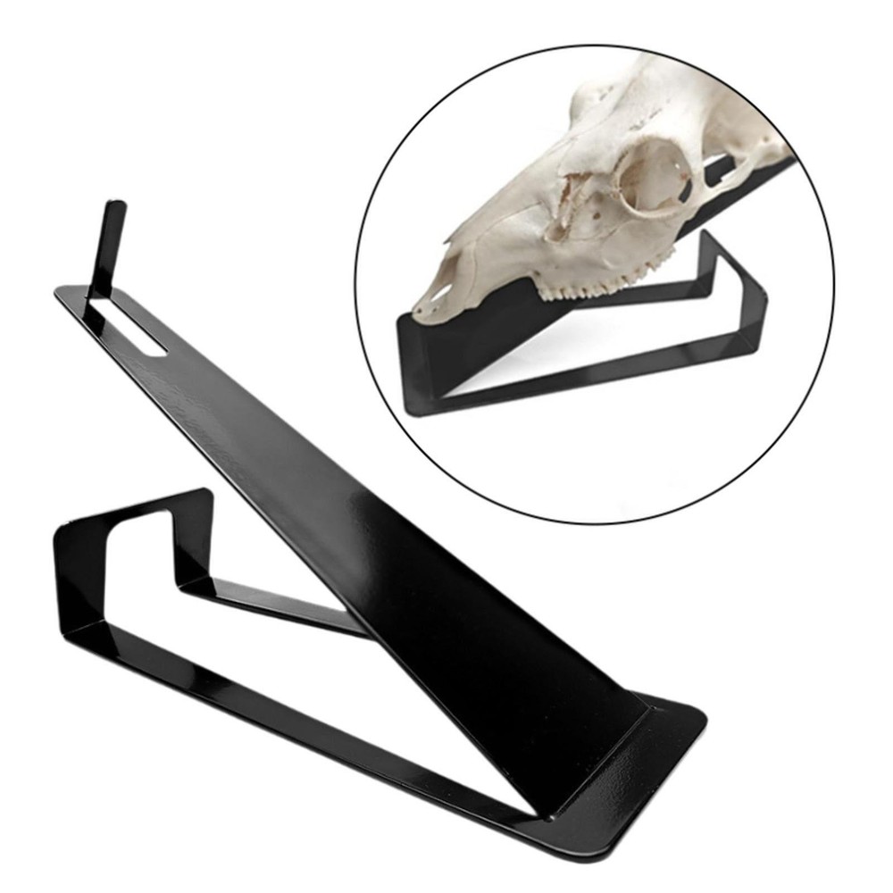 Deer Skull Mount Hanger Iron Bracket Table Top Stand