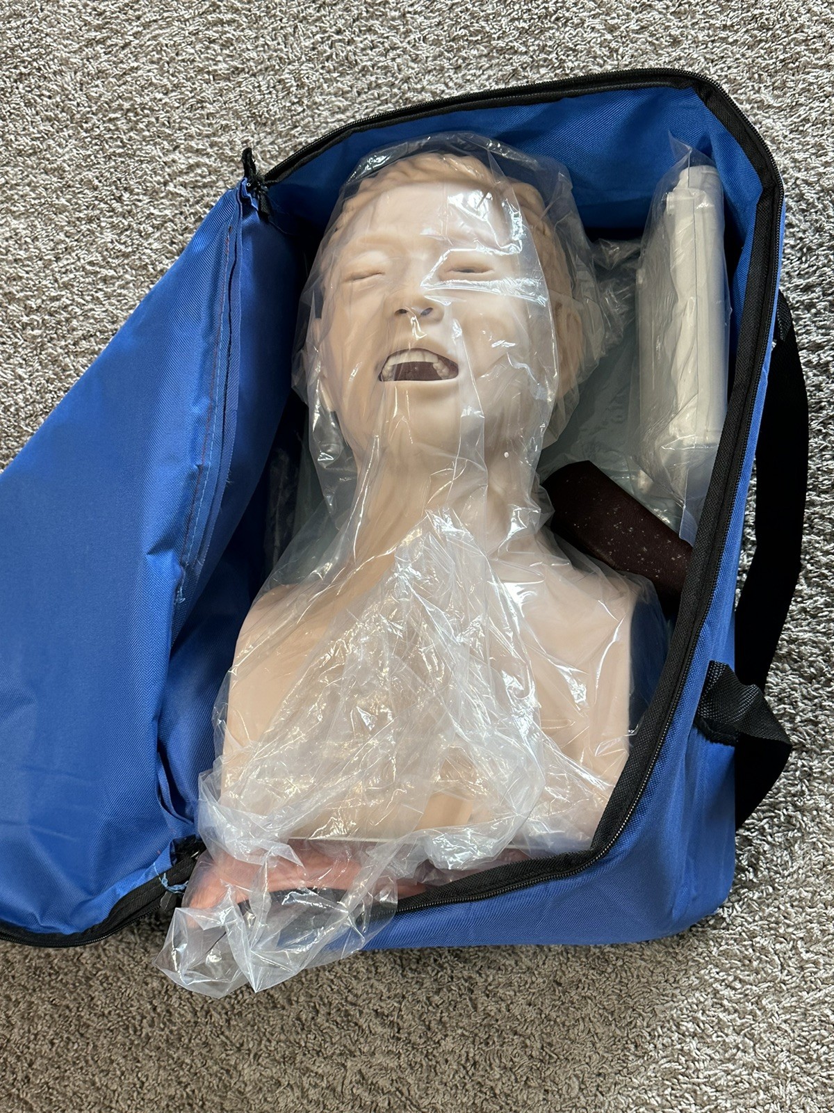 Teaching Model Airway Management Trainer Intubation Manikin Study for Training