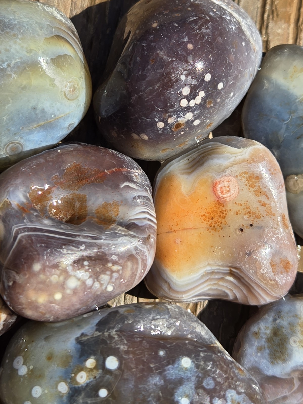 Botswana Agate Selects - DOTS AND SPOTS - Rough, Natural, Not Polished A+ Grade