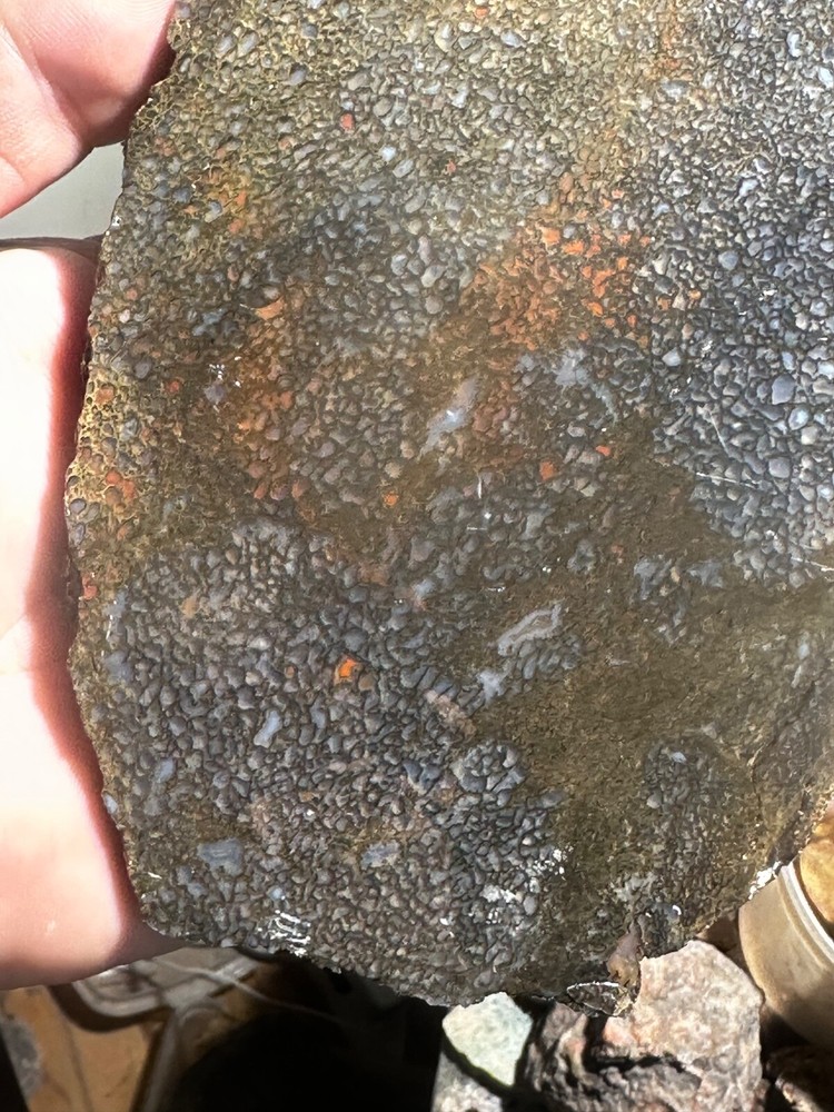 Dinosaur bone rough **hxtled large slab.