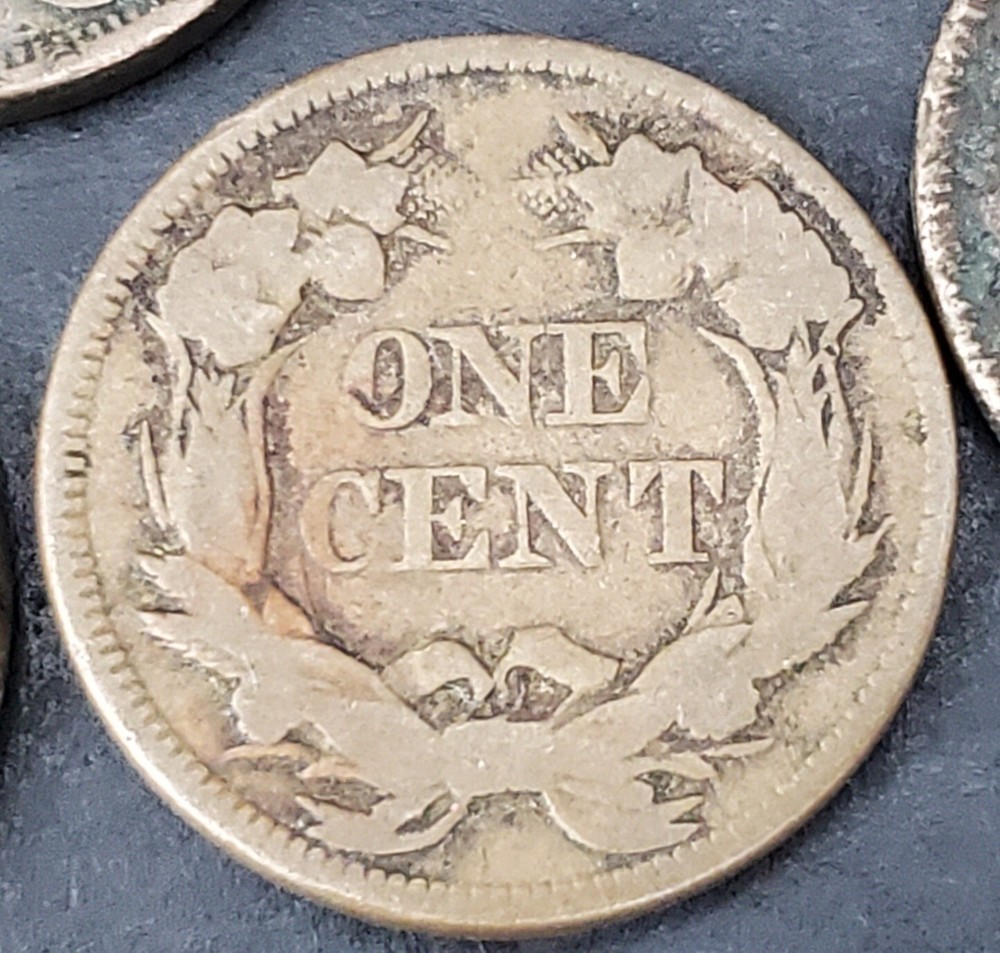 9 Mixed Flying Eagle & Indian Cent Collection