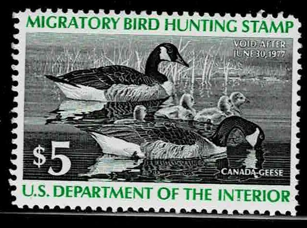 Single   Face Value Duck Stamps RW 43