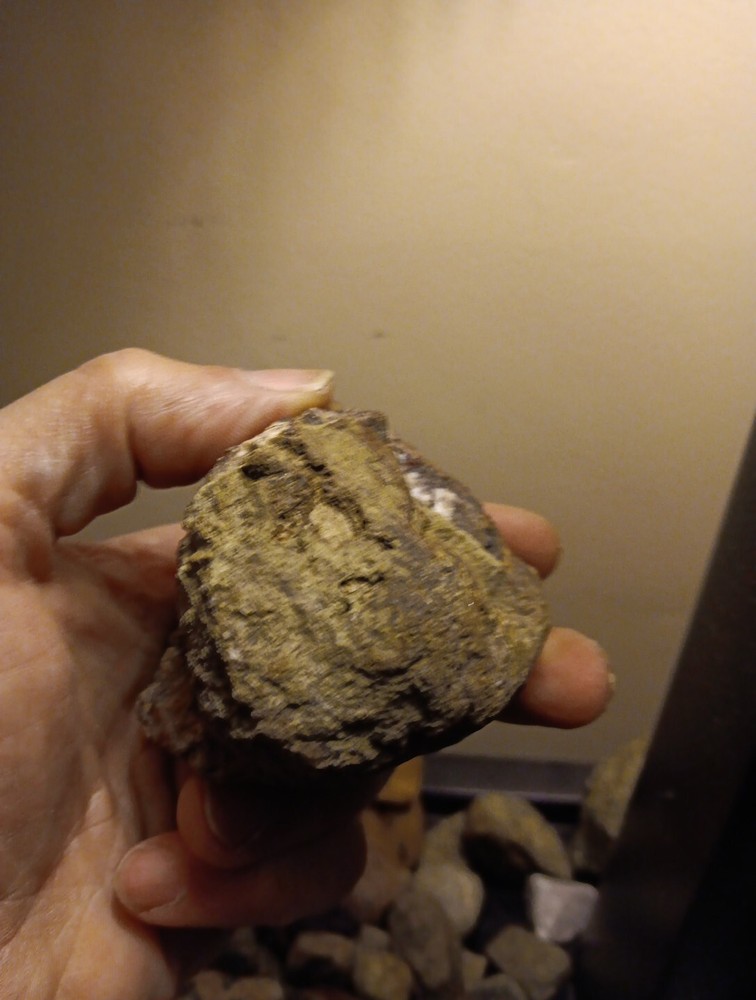 Calcopyrite* & Minerals Assorted
